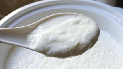 Vad är det enkla sättet att brygga yoghurt på? Gör yoghurt som sten hemma! Fördelen med hemyoghurt