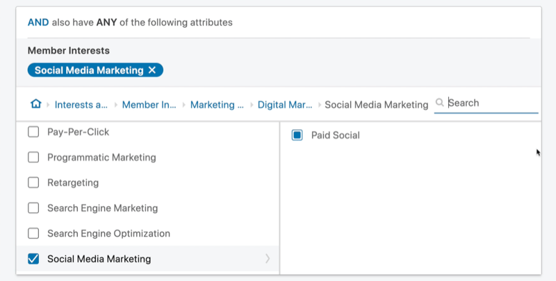 Exempel på målgrupp för linkedin-annonskampanj 'och' attribut med medlemsintressen för marknadsföring på sociala medier