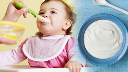 Hur gör jag yoghurt för spädbarn? Hemlagad fruktyoghurtrecept för spädbarn
