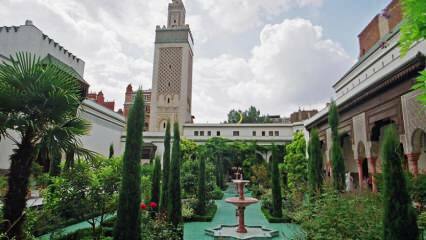 Moskéer och islamiska monument i Europa: Sightseeing rutter för konservativa familjer