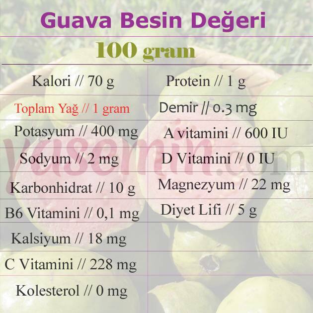 guava näringsvärde