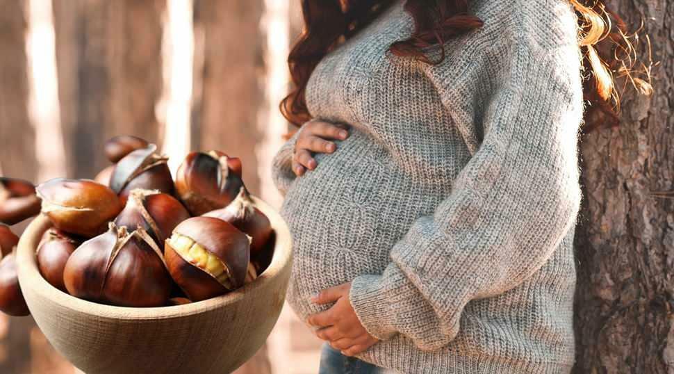  Kan gravida kvinnor äta kastanjer?