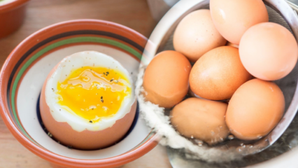 Vilka är fördelarna med ett lågkokt ägg? Om du äter två kokta ägg om dagen ...