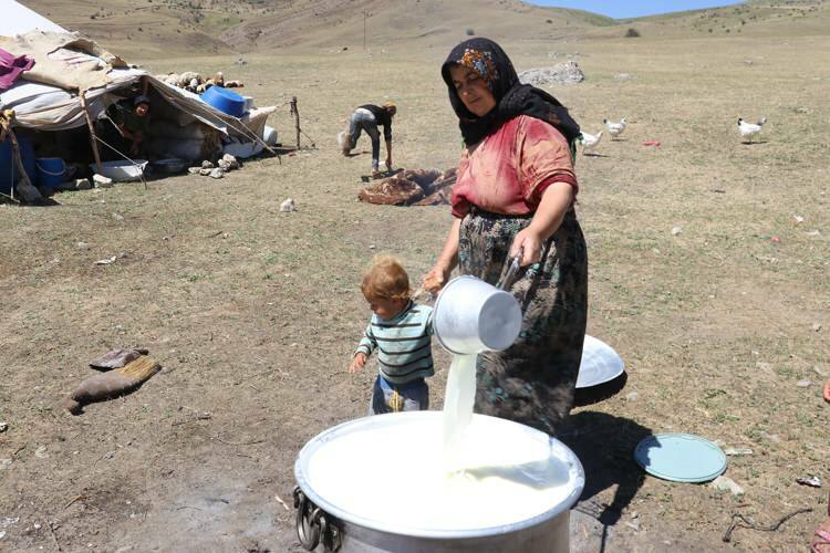 Utmanande "mjölk" -resa för nomadkvinnor på åsnor!