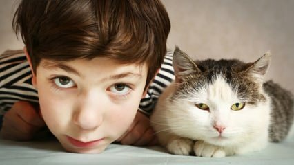 Vad är effekten av husdjur på barn?