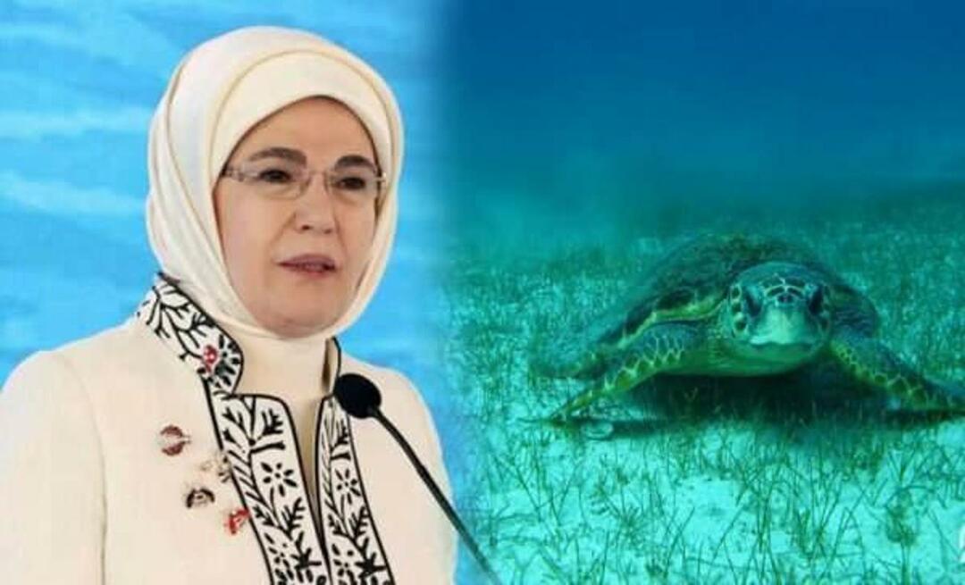 Delar "havssköldpadda" från Emine Erdoğan: "Så länge vi skyddar dem kommer de att fortsätta leva"