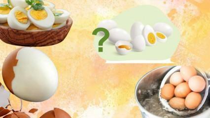 Kost med kokt ägg! Håller ägget dig mätt? 12 kilo på en vecka 