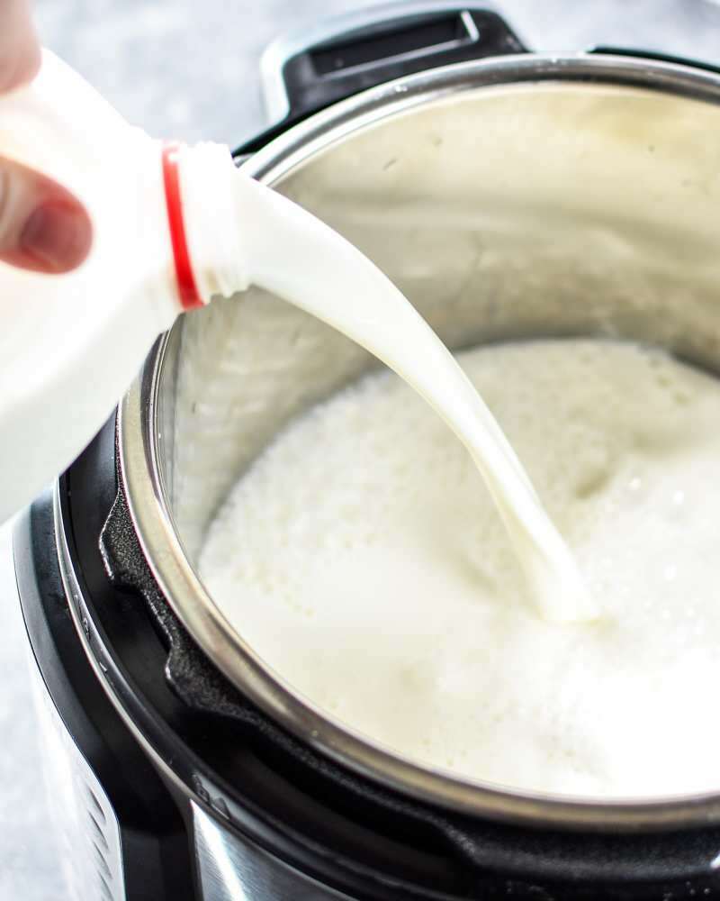 Det är svårt att hålla konsistensen av vattenbuffel yoghurt