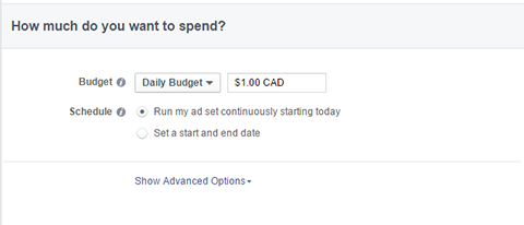 budgetalternativ för Facebook-annonser