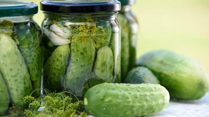 Hur man gör inlagda gurkor hemma? Tips för att göra pickles