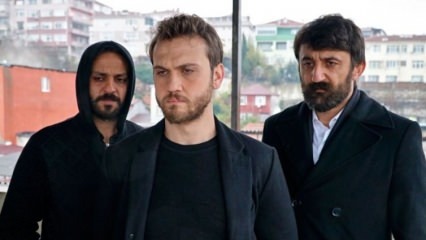 Har Sinem Kobal överförts till Çukur-serien?