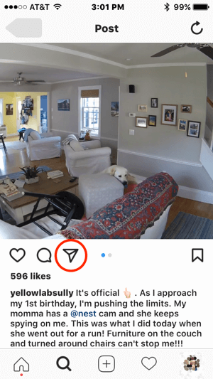 Om Nest ville kontakta denna Instagram-användare för tillstånd att använda deras innehåll, kunde de initiera kommunikation genom att trycka på ikonen för direktmeddelande.