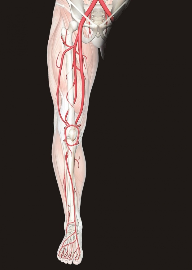 obehag i nerverna i benen orsakar smärta i benen