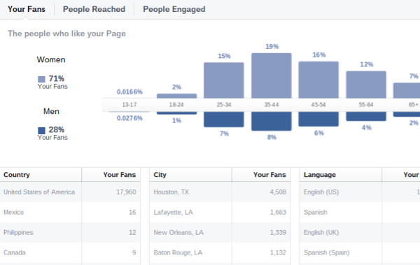 Facebook insikter publikens demografi