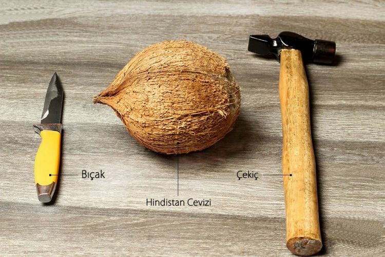 Hur man klipper kokosnöt?