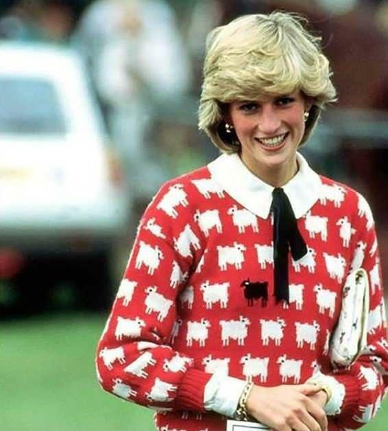 Prinsessan Dianas tröja är ute på auktion