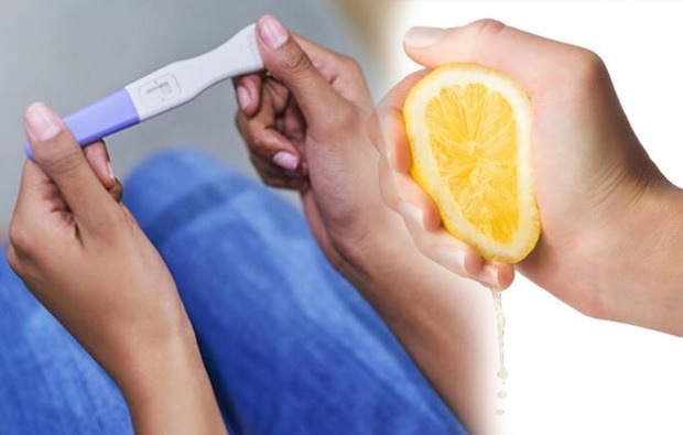 Hur man gör ett graviditetstest med citron