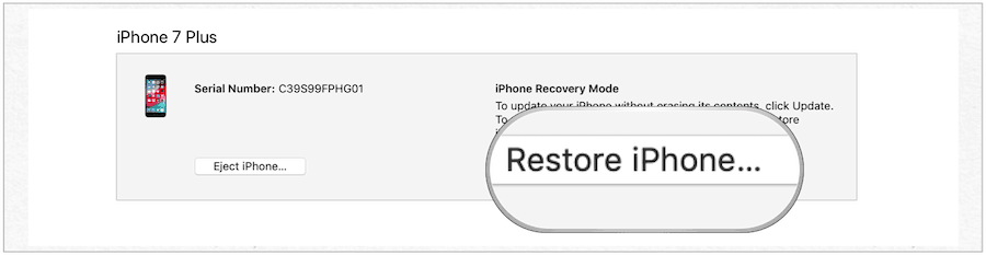 Återställ Iphone
