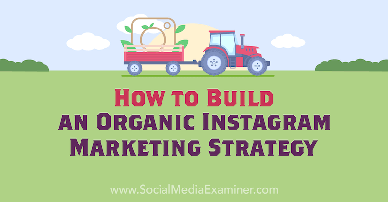 Hur man bygger en organisk Instagram -marknadsföringsstrategi av Corinna Keefe på Social Media Examiner.