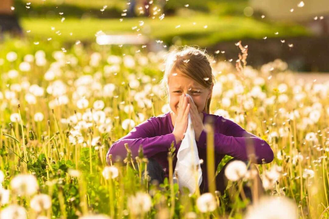 Vad du bör tänka på för att skydda barn från säsongsbetonade allergier