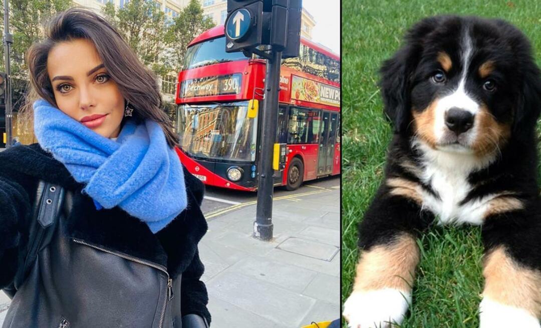 Skådespelerskan Tuvana Türkay gav sitt liv för sin hund!