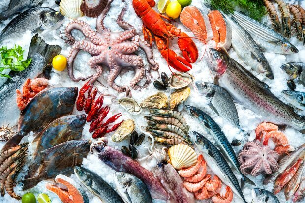 se upp för skaldjur och frysta livsmedel!