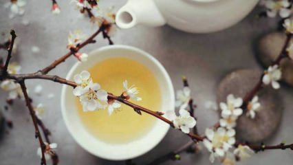 Bantning med vitt te