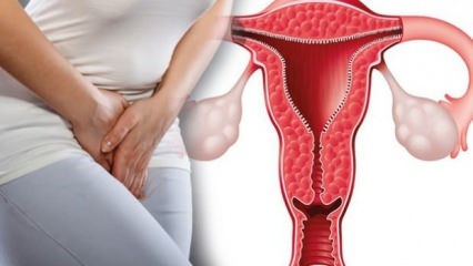 Vad är livmoderförtjockningen? Hur mycket ska livmoderväggens tjocklek vara under graviditeten?