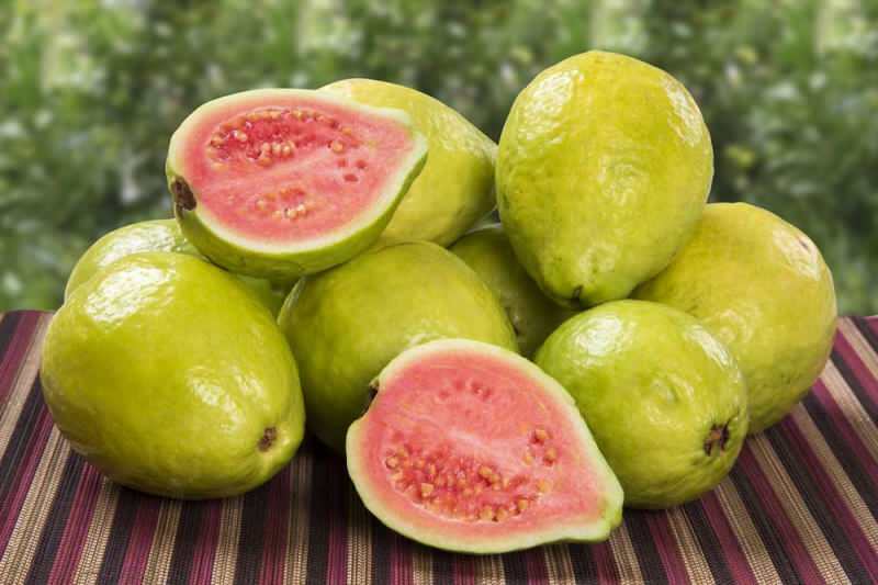 Vad är en guavafrukt? Hur man äter guavafrukt och vilka fördelar har det?