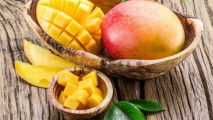 Vilka är fördelarna med Mango? Vilka sjukdomar är mango bra för? Vad händer om du konsumerar vanliga mango?