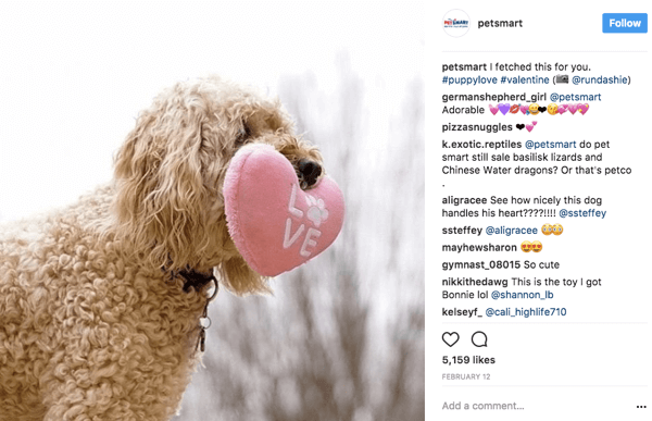 När PetSmart delar foton från användare på Instagram ger de fotokredit till originalaffischen i bildtexten.