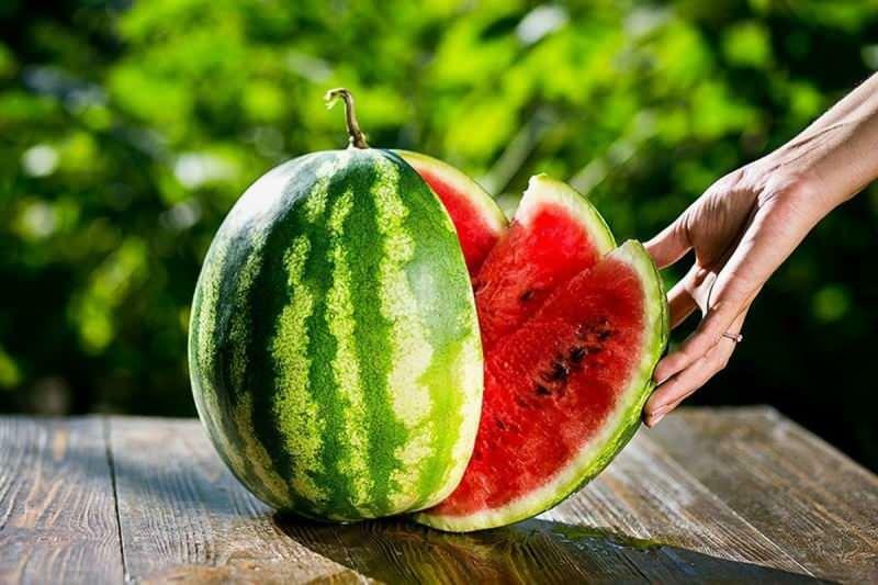 hur man väljer vattenmelon