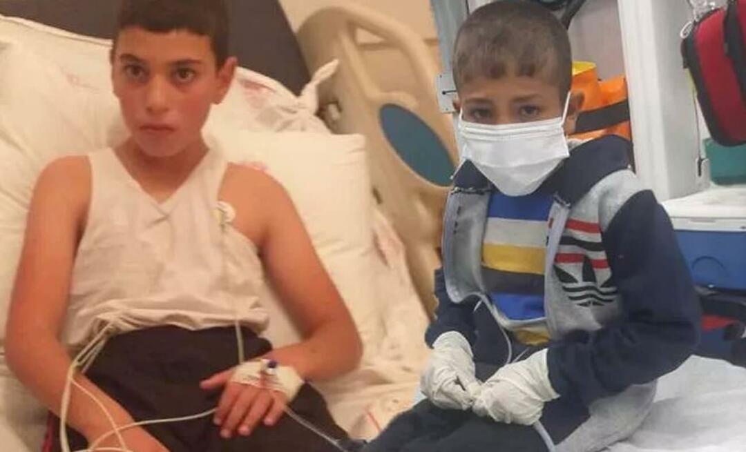 Barnet med rabies ligger på intensivvård! Bahadır Yenişehirlioğlu slog ut