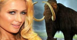 Paris Hilton investerade sina pengar i mammutar! 