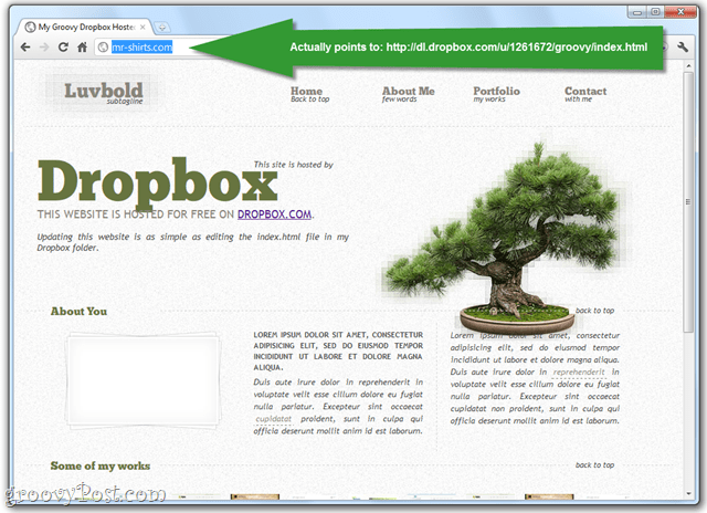 publicera webbsidor via den offentliga mappen för dropbox