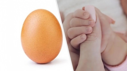 Ett rekordstort ägg med 28 miljoner likes