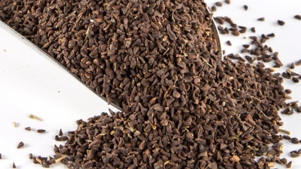 Vilka är fördelarna med Uzerlik frö? Hur gör man över frön från Üzerlik te?