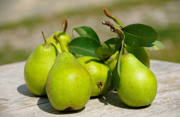 Förhindrar irritation: Vilka är fördelarna med päron? Hur många päron finns det? Vad är päron bra för?