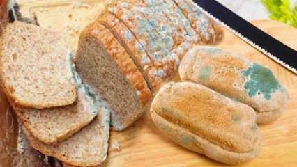 Hur förhindrar man brödformning under Ramadan? Sätt att förhindra att bröd blir gammalt och mögligt