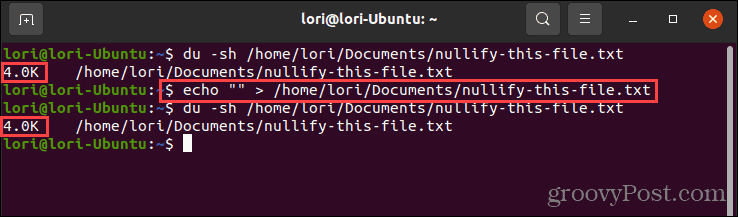 Använda kommandot echo med tomma citattecken i Linux