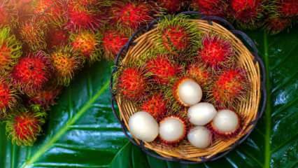 Vad är Rambutan? Vilka är fördelarna med Rambutan frukt? Hur man äter rambutan?