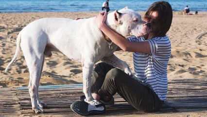 Den unga skådespelerskan Alina Boz farväl till sin döda hund! Vem är Alina Boz?