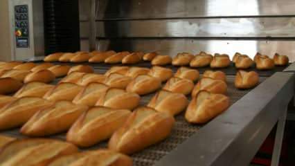 Experter varnade: Lägg brödet i ugns 90 grader i 10 minuter