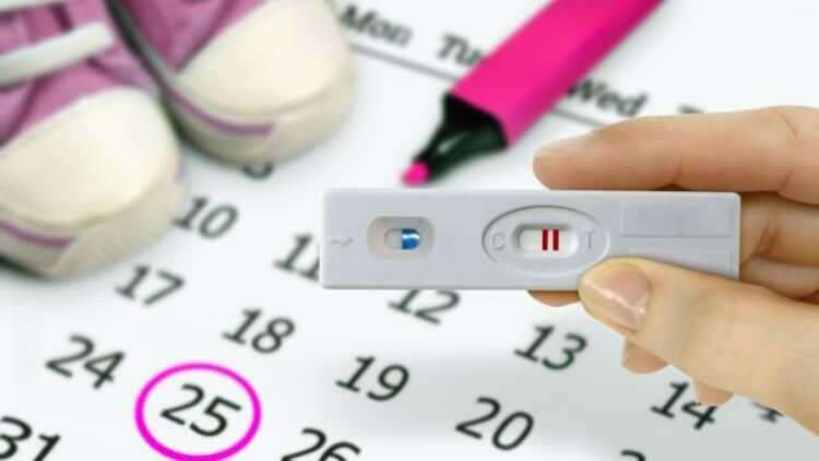 Kan jag bli gravid efter menstruationen? Samlag efter menstruationen