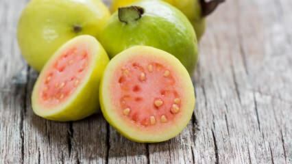 Vad är guava-frukt? Vilka är fördelarna?