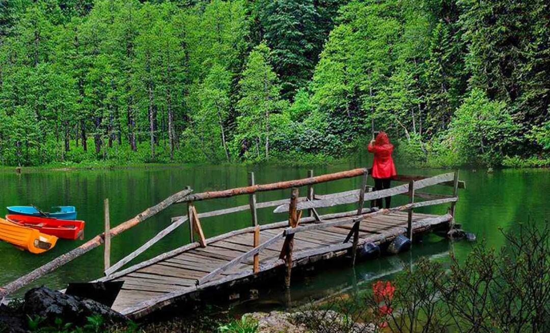 Var är Artvin? Vart ska man åka i Artvin? Vilka är de sevärdheter att besöka i Artvin?