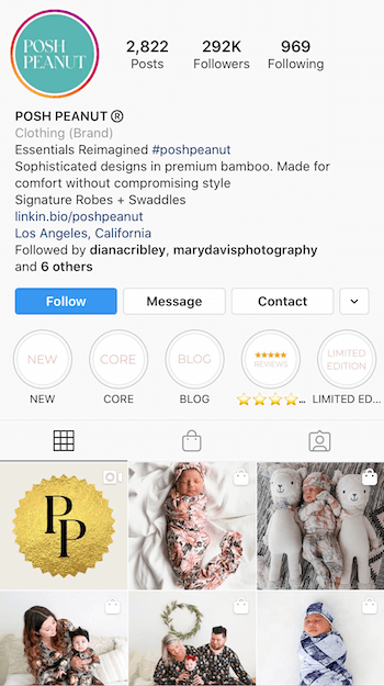 exempel på Instagram-bio optimerad för företag