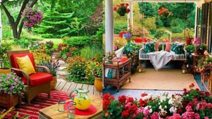 Blommor som du kan använda i din trädgård och balkonger på hösten!