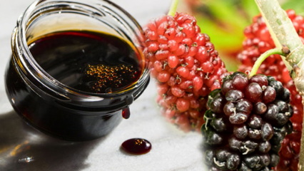 Vilka är fördelarna med svart mullbär? Vad händer om du kokar den svarta mullbärstrån och dricker sirap varje dag?