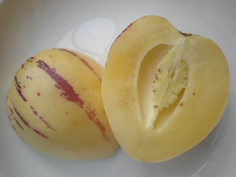 pepino frukt är skivad som en melon som en bild